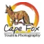 kalaharisafari.com favicon