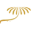 royalpalmny.com favicon