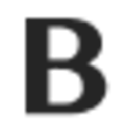 brentinyparis.com favicon