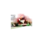 gygkarting.com favicon