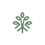 hempyroots.com favicon