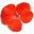 vanillaoutdoor.com favicon