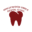 hollywoodsmile.com favicon