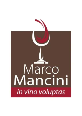 mancini.be favicon