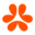 nourish.com favicon
