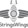 stringswings.be favicon