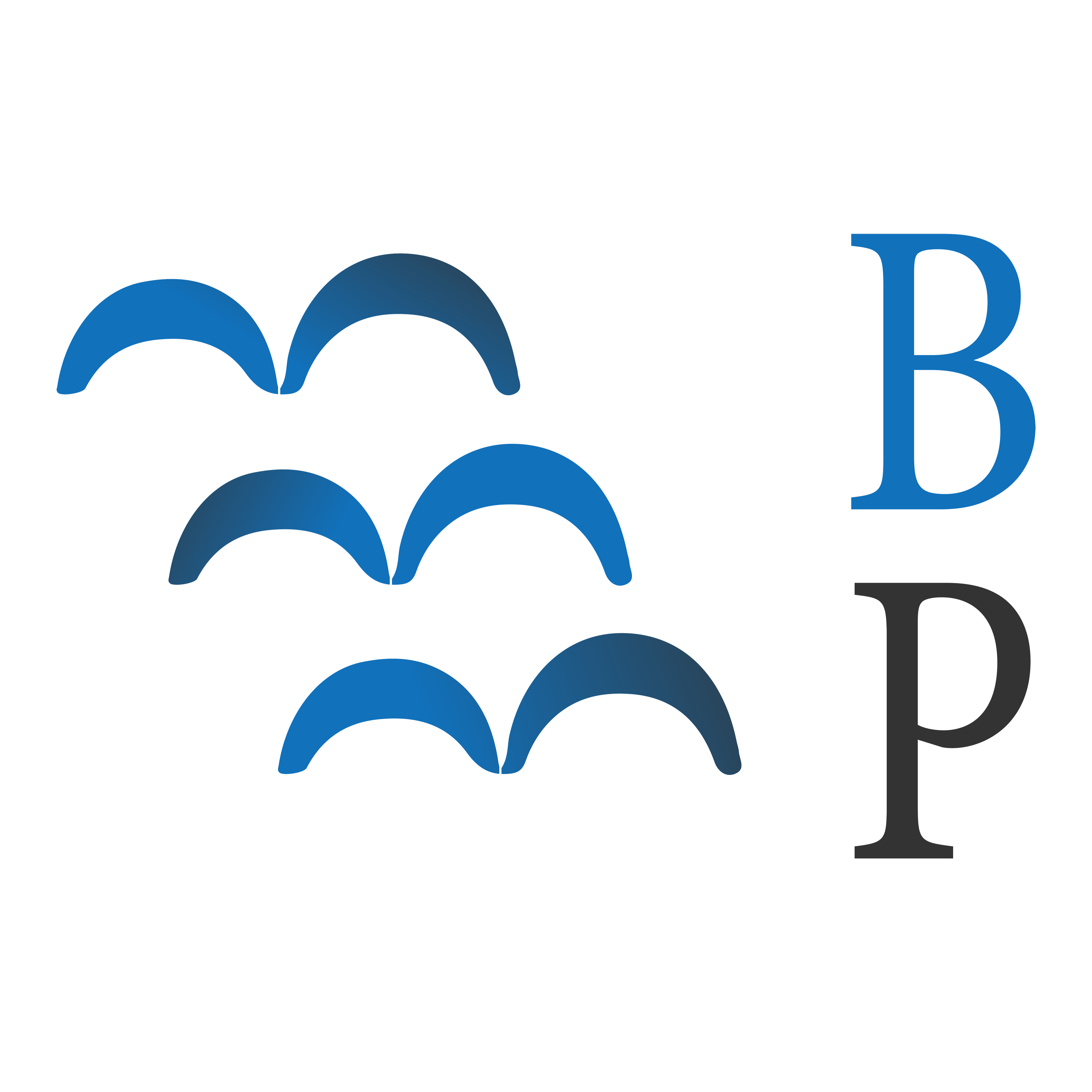 bluebirdpublishings.com favicon