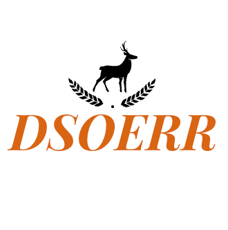 dsoerr.com favicon