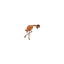 rubbertruck.dk favicon