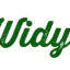 widys.com favicon