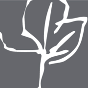 alexanderhotels.co.uk favicon