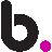 bondbrandloyalty.com favicon