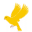 canaryapparels.com favicon