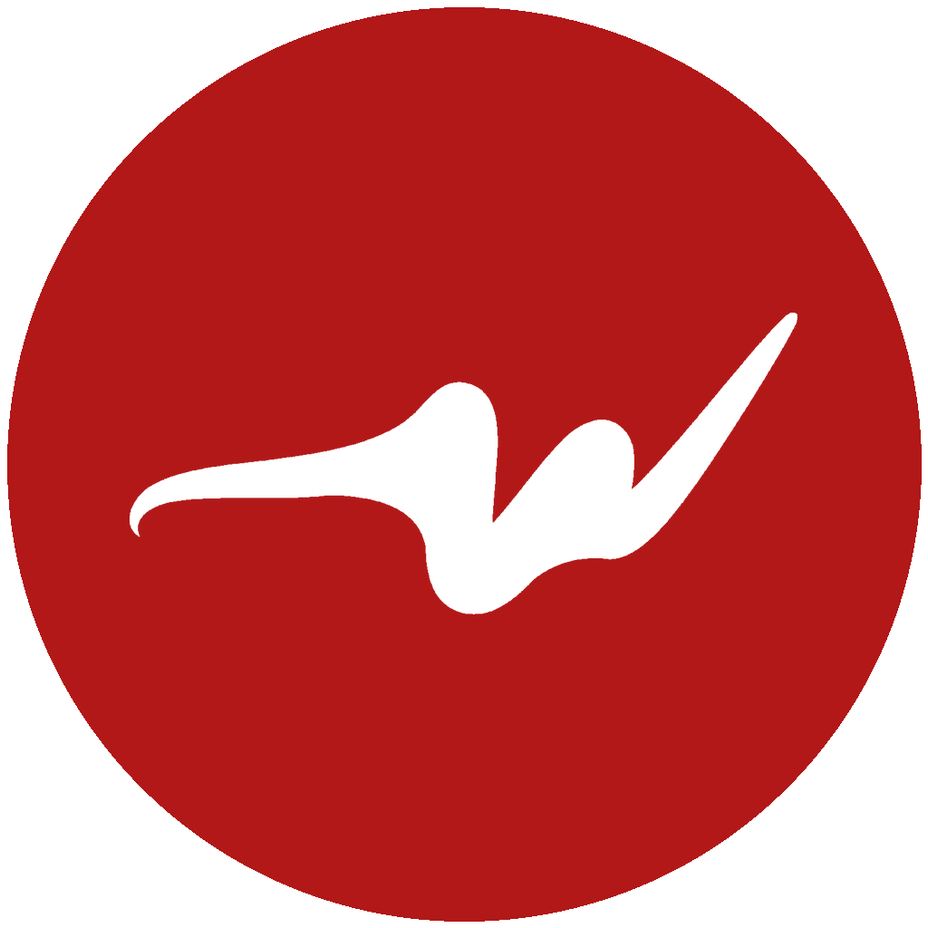 justwypeit.com favicon