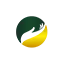 pflegekraft.de favicon