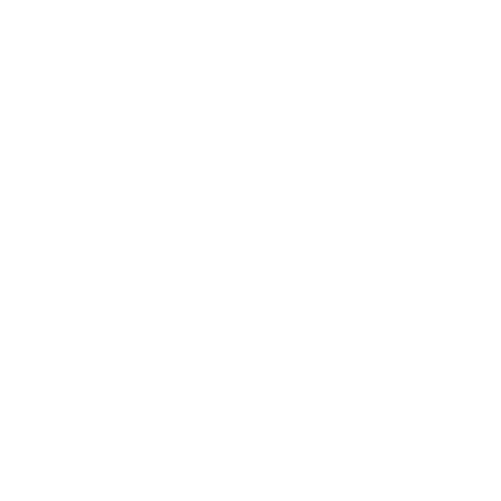 ring-hotel.de favicon