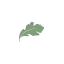 sofastore.com favicon