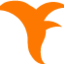 yoycol.com favicon