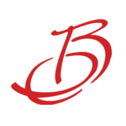 bridgepub.com favicon