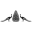 culturalitaly.com favicon