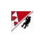 horizonvertical-fc.com favicon