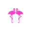 playaelflamingo.com favicon