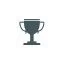 d2trophy.com favicon