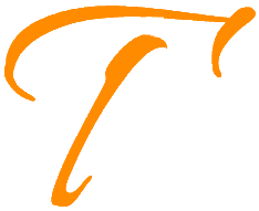 teson.in favicon