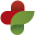 welapo.com favicon