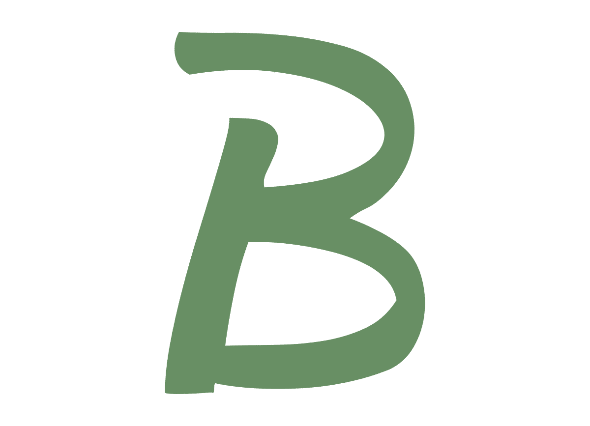 borrag.com favicon