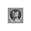 falcozen.com favicon
