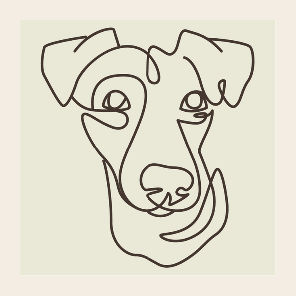 frankieandpaws.com favicon