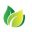matchaleaf.com.au favicon