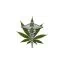 naturligtvis.me favicon