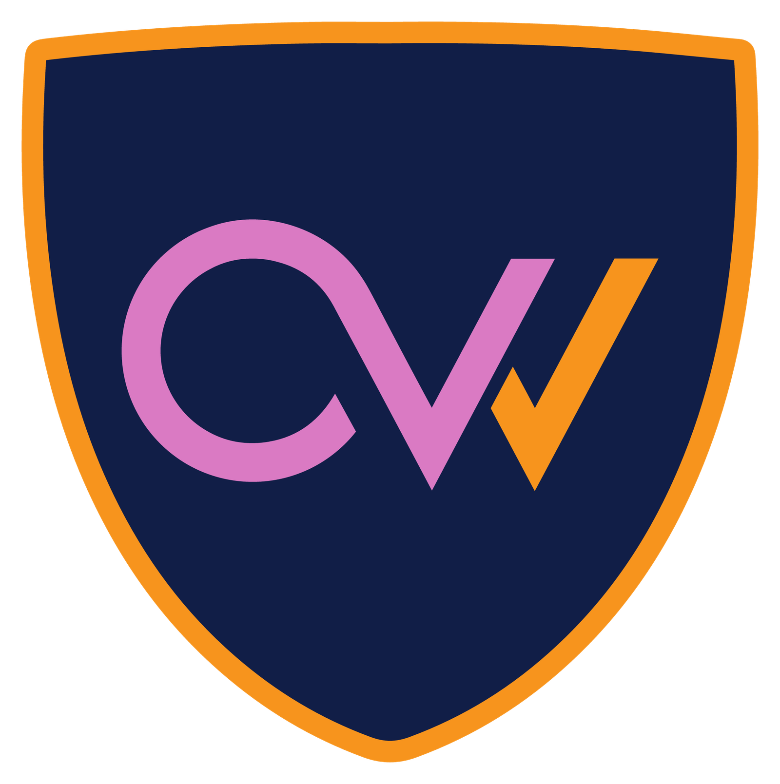 octovvpn.net favicon