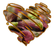 pistasta.it favicon