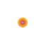sendflowersworldwide.com favicon