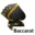 swiftcotrading.com favicon