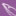 taubenweiss.de favicon