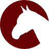 thesaddleryshop.co.uk favicon