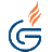 gaswacht.nu favicon