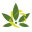 honestcbdco.com favicon