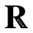 regencyfoods.com favicon