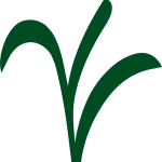 salsainmobiliaria.es favicon