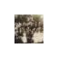 slaegtenshistorie.dk favicon