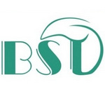 bstquartz.com favicon