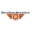 davelaarscooters.nl favicon