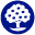 orchardtoys.com favicon