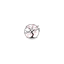 alberodiombrelli.com favicon