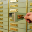 beacconsult.de favicon